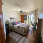 Suite Paraiso